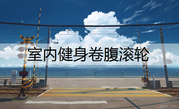 <strong>室内健身卷腹滚轮</strong>