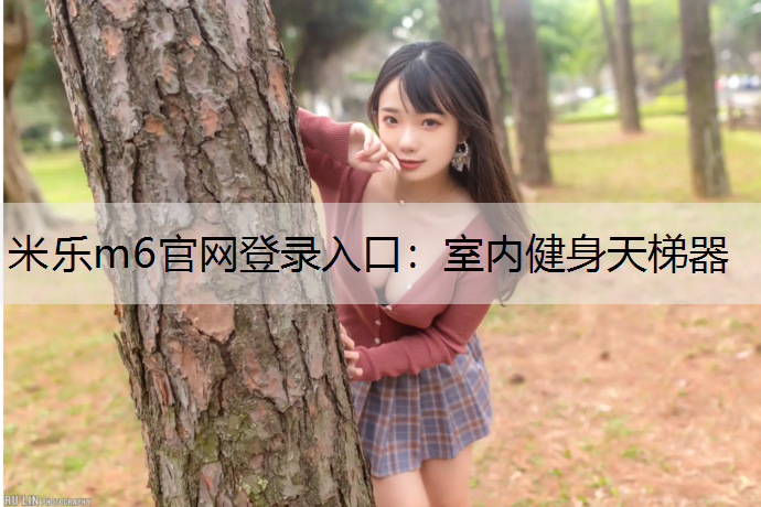 室内健身天梯器