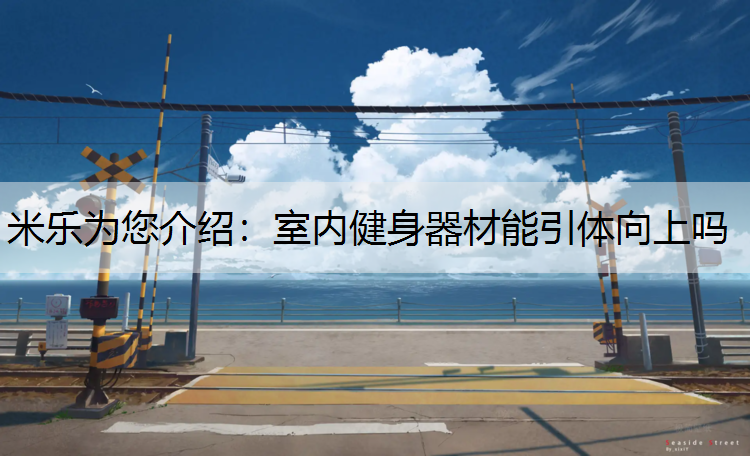 室内健身器材能引体向上吗