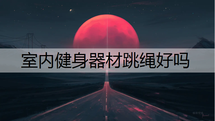 室内健身器材跳绳好吗