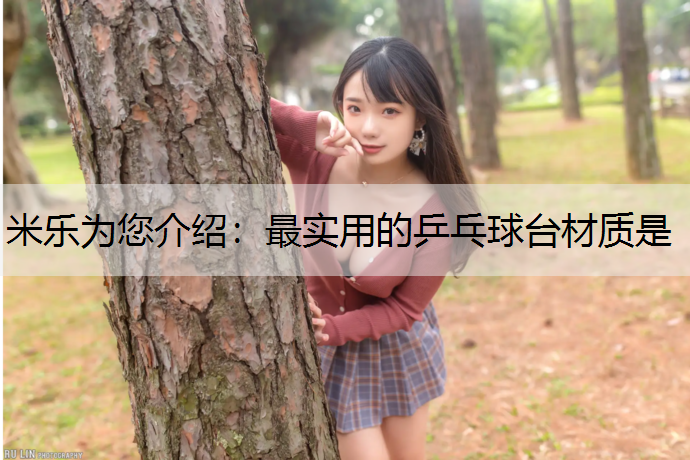 最实用的乒乓球台材质是